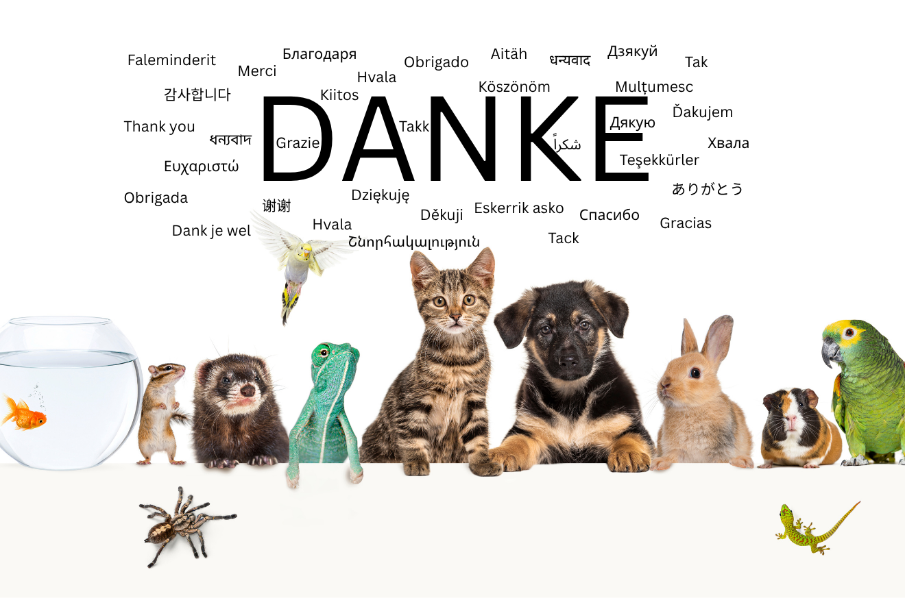 DANKE